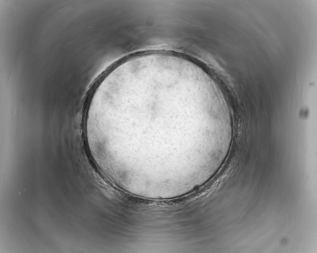 X0000098231216200805221703