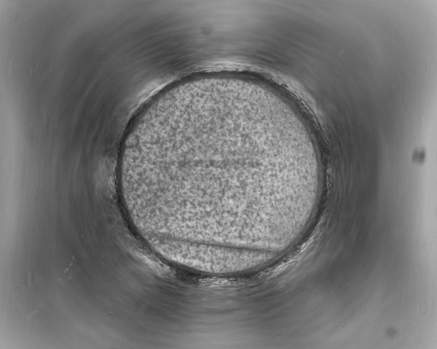 X0000098231217200805221703