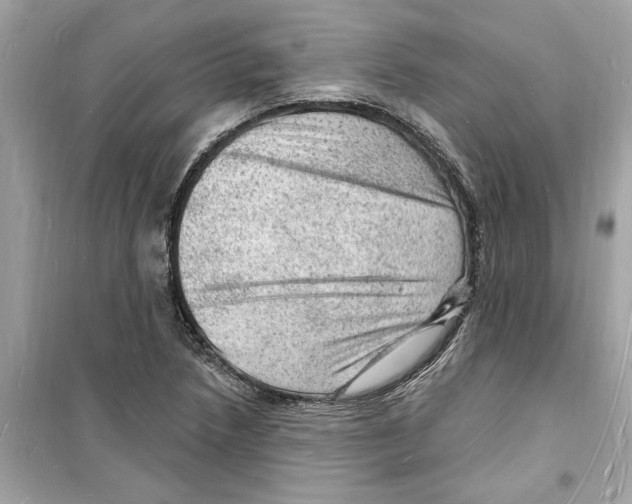 X0000098231218200805221703