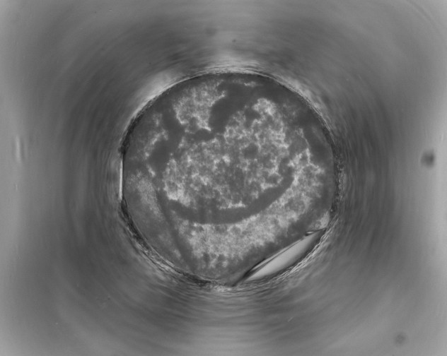 X0000098231219200805221703