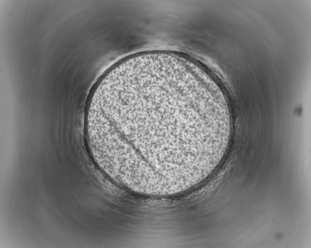 X0000098231220200805221703