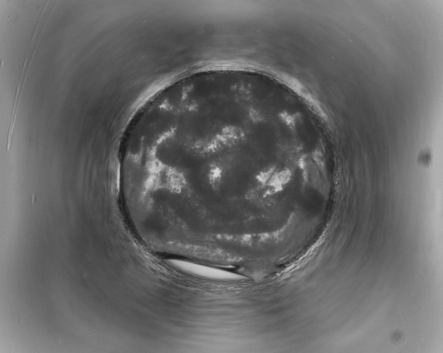 X0000098231221200805221703