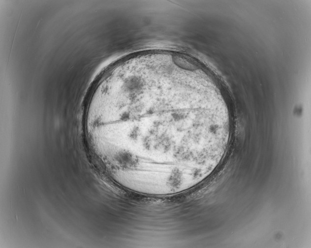 X0000098231222200805221703