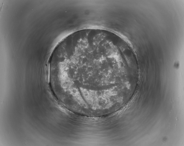 X0000098231223200805221703