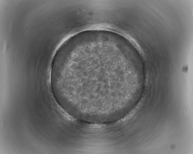 X0000098231224200805221703