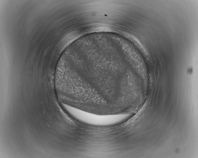 X0000098231225200805221703