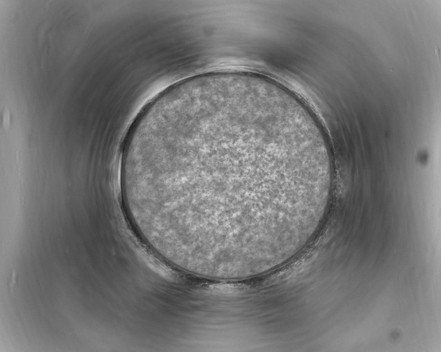 X0000098231227200805221703