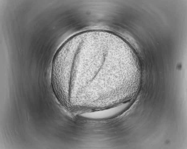 X0000098231228200805221703