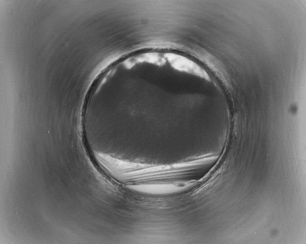 X0000098231229200805221703