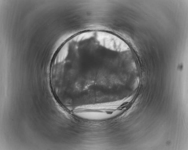 X0000098231231200805221703