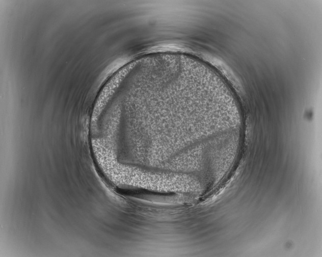 X0000098231233200805221703