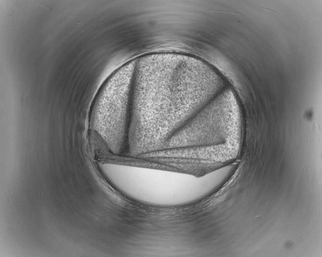 X0000098231234200805221704