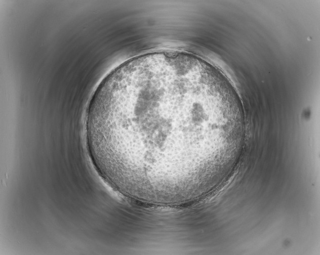 X0000098231235200805221704