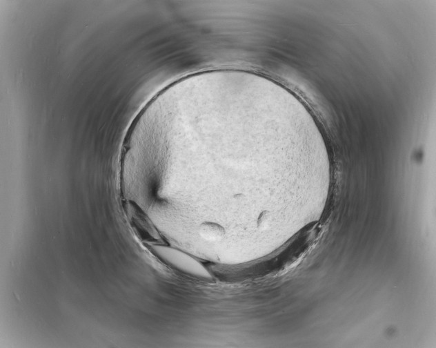 X0000098231236200805221704