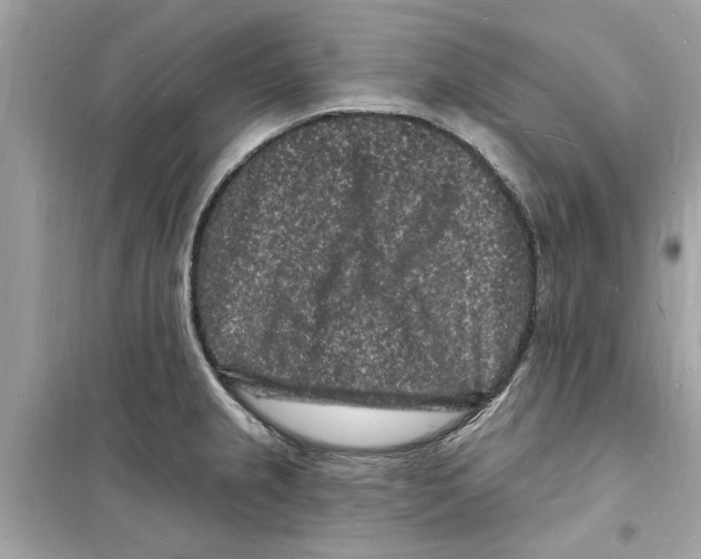 X0000098231237200805221704