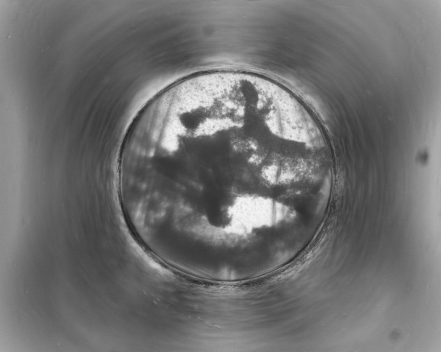 X0000098231239200805221704