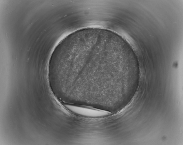 X0000098231240200805221704