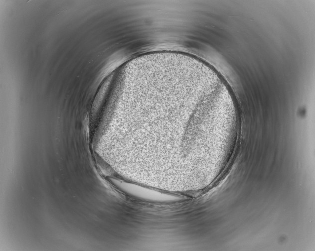 X0000098231241200805221704