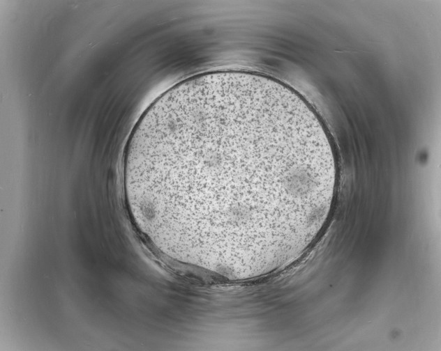 X0000098231242200805221704