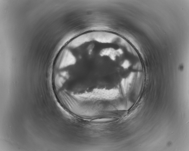 X0000098231245200805221704