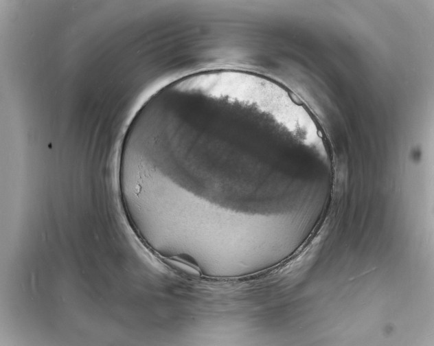 X0000098231246200805221704