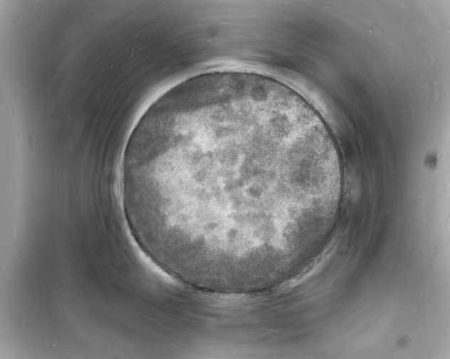 X0000098231247200805221704