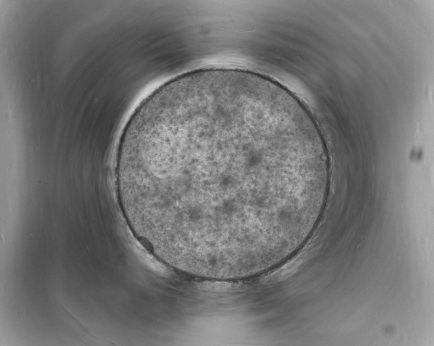 X0000098231248200805221704