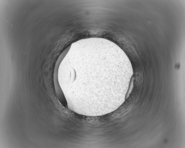 X0000098231249200805221703