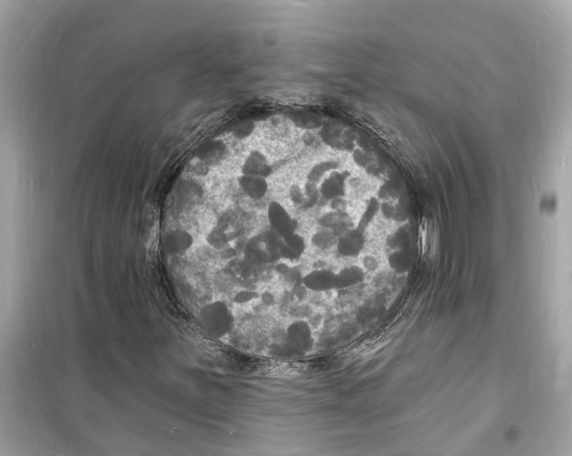 X0000098231251200805221703