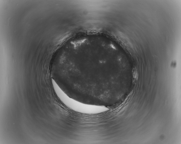 X0000098231252200805221703