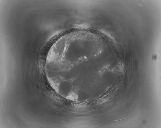 X0000098231254200805221703