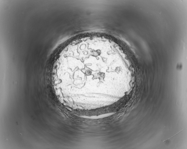 X0000098231255200805221703