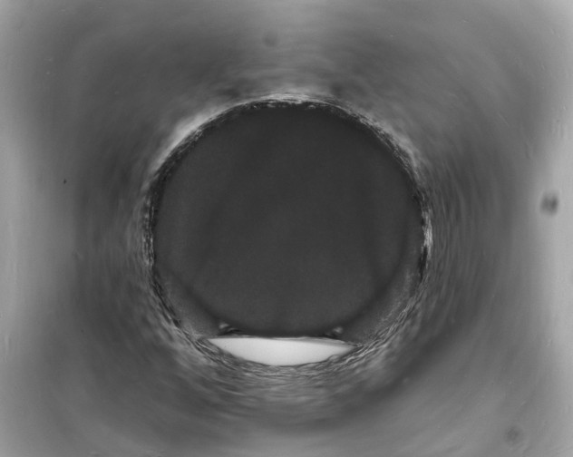 X0000098231256200805221703