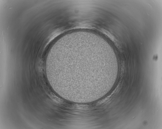 X0000098231258200805221703