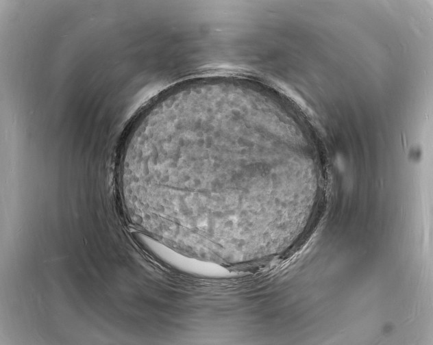 X0000098231259200805221703