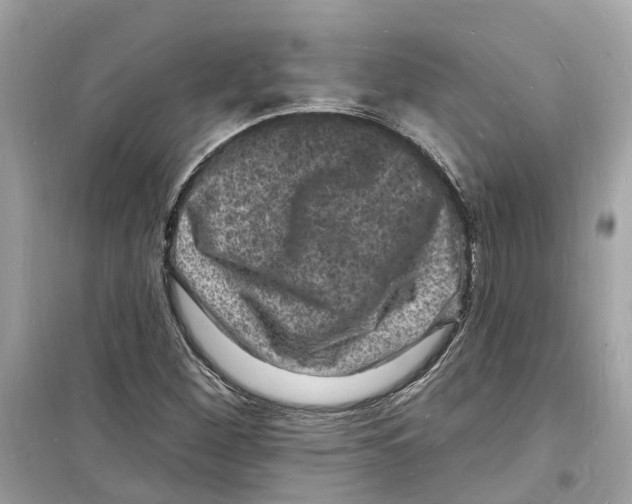 X0000098231260200805221703