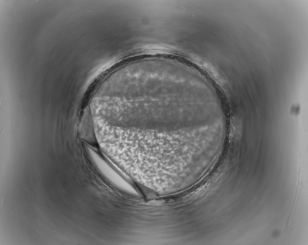 X0000098231261200805221703