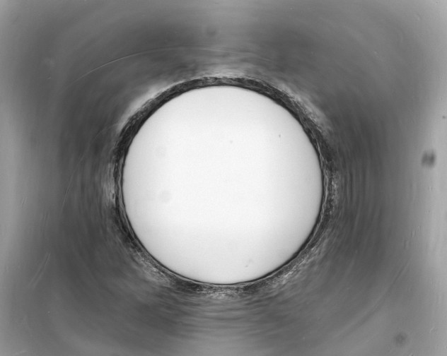 X0000098231262200805221703