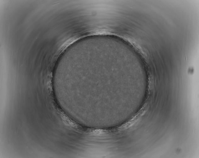 X0000098231265200805221703