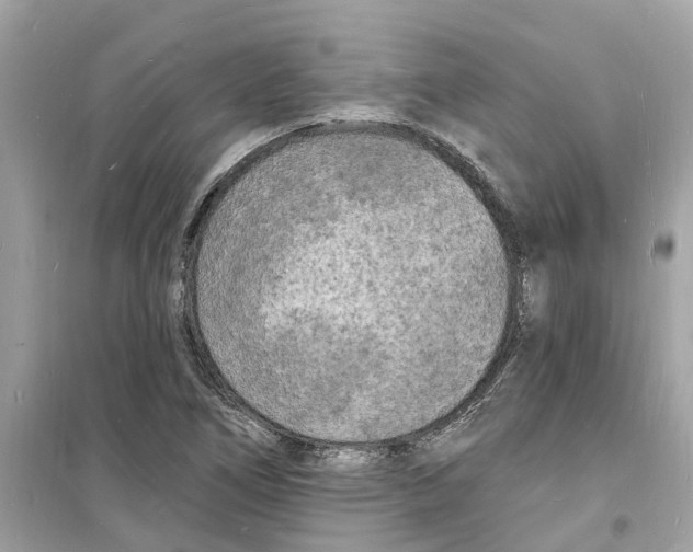 X0000098231266200805221703