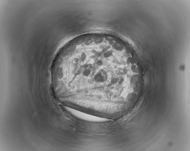 X0000098231267200805221703