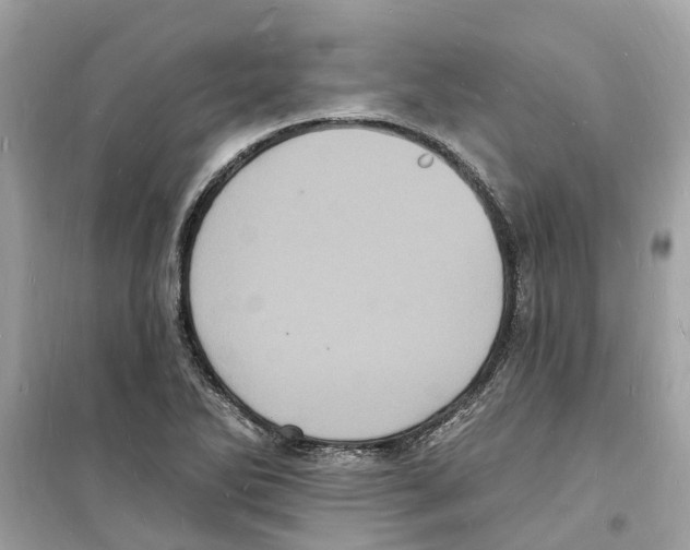 X0000098231270200805221702