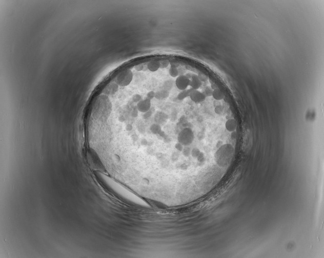 X0000098231271200805221702