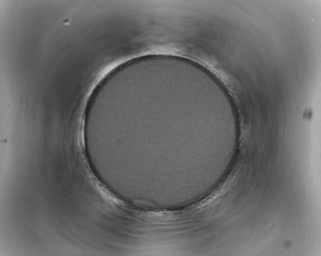 X0000098231272200805221702