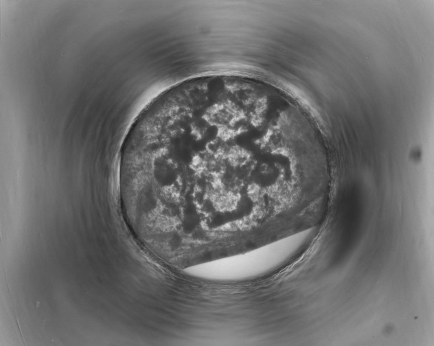 X0000098231275200805221702