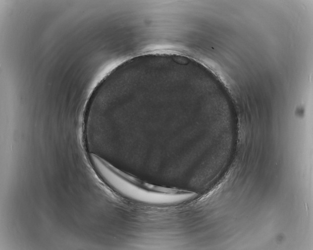 X0000098231277200805221702