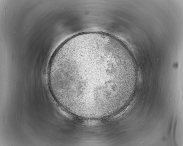 X0000098231278200805221702