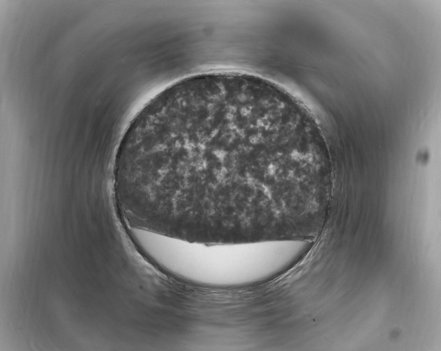 X0000098231279200805221702