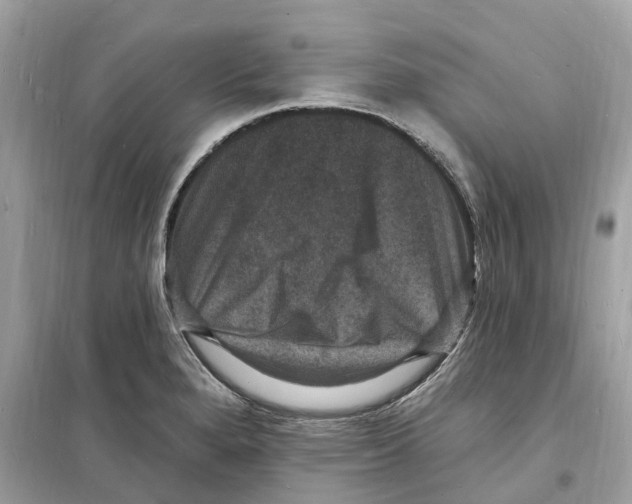 X0000098231280200805221702