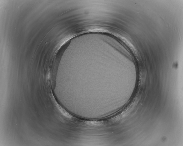 X0000098231281200805221702